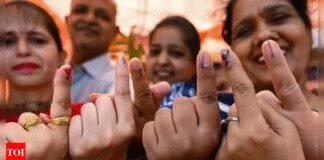 87% enumeration forms distributed in Bihar; 5% filled up & returned; documents can be added later | India News