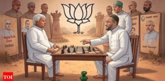 Lalu’s ‘Owaisi’ dilemma: Will RJD align with AIMIM for Bihar polls? Seemanchal holds the key | India News