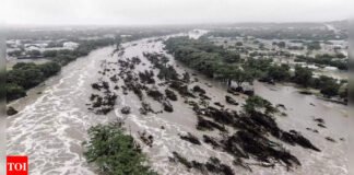 ‘Nobody saw this coming’: Texas flood kills 59; 27 girls still missing after camp washed away, rescue efforts enter day 3 | India News
