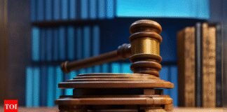 ‘Unprecedented threat’: Delhi HC junks Turkish-based Celebi’s plea against revocation of security clearance; cites national security | India News