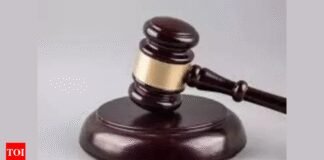 Delhi HC nixes Celebi’s plea against Centre’s curbs | India News