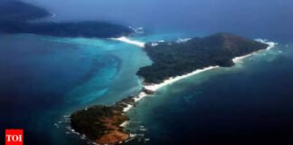 Centre submits sealed Nicobar report to NGT | India News