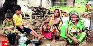 Government shelter for 80-year-old MP widow | India News