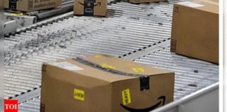 Component of Pulwama IED was ordered via Amazon: FATF | India News