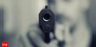 Police gun down 2 who aided Punjab businessman’s killer | India News