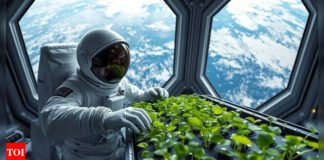 Space farming: Shubhanshu Shukla grows methi, moong on ISS; calls it ‘exciting and joyful work’ | India News