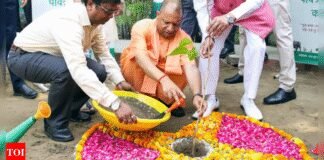 ‘Uttar Pradesh government to plant 52 crore saplings this year’: CM Yogi Adityanath | India News