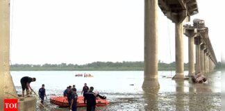 Vadodara bridge collapse: Gujarat CM suspends four officials; police register accidental death complaint | India News