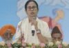 Durga Puja preparation: Bengal govt to give Rs 1.10 lakh grant to each committee; Mamata Banerjee holds meeting | India News