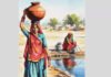 The book that brought ponds back to life | India News
