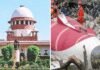 Air India crash: SC hears plea for independent investigation into June 12 disaster; petitioner cites flaws in AAIB report | India News