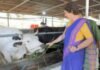 Watch: Priyanka Gandhi visits dairy farm in Kerala; meets ‘cutie pie’ named Alia Bhatt | India News