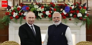 From Kashmiri saffron to Assam tea: What all PM Modi gifted Vladimir Putin — see pics