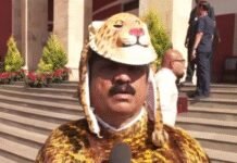 ‘Raising issue since 2014’: Maharashtra MLA dresses up as leopard to protest rising wildlife problem – watch video | India News