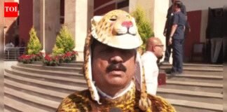 ‘Raising issue since 2014’: Maharashtra MLA dresses up as leopard to protest rising wildlife problem – watch video | India News