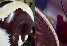 Airlines still out of tune with musicians, hit jarring note with instruments in flight | India News