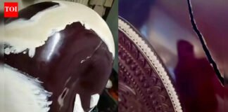 Airlines still out of tune with musicians, hit jarring note with instruments in flight | India News