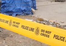 ‘Pained by loss’: PM Modi announces Rs 2 lakh for Andhra bus accident victims; 9 killed, 20 injured | India News