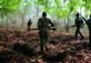 518 Reds killed in encounters in Chhattisgarh in past 2 years | India News