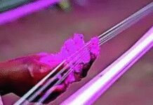 Doc among 3 killed by Chinese manja on Makar Sankranti | India News