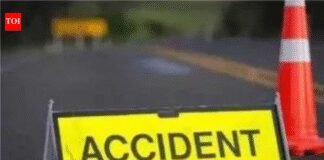 Fog-induced crashes claim 8: Five tourists in Punjab, 3 labourers in UP | India News