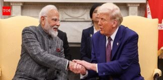 ‘Movers, shaker, and beggars’: Pakistan’s national meltdown over the India-US trade deal | India News