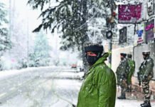 Top JeM operative among 3 shot dead in J&K ops | India News