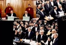 ‘Allow me, sir’: Mamata argues against SIR in Supreme Court | India News