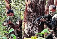 Seven Naxals killed in Gadchiroli, including top leader; special force jawan succumbs to injuries | India News