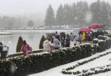 Over 1.7 crore tourists, including 36,000 foreigners, visited J&K in 2025: Govt | India News