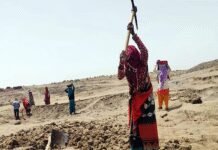 Govt spent barely 40% of Budget on biggest schemes in 9 months | India News