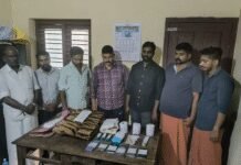 Kerala: Forest officials bust wildlife trafficking gang trying to sell tiger skin, claws, teeth; 7 held | India News