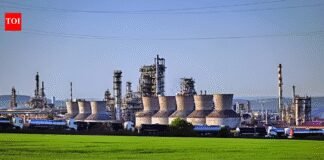 Nayara’s future unsure: India may bargain with US for Russian crude | India News