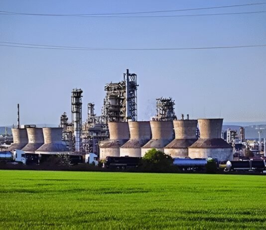 Nayara’s future unsure: India may bargain with US for Russian crude | India News