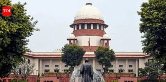 HC judges cannot assume role of domain experts: Supreme Court | India News