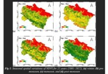 Two decades of sat data show gradual dip in Uttarakhand hills green cover | India News