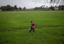 Mismatch in fertiliser DBT buyers and PM-KISAN data raises red flags for panel | India News