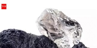 Govt launches 2nd round of auctions for exploration licences covering 11 blocks of critical, deep-seated minerals | India News