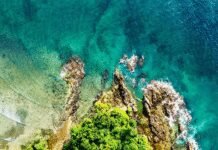 NGT nod thwarted Gandhis’ bid to stall Nicobar plan: BJP | India News