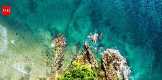 NGT nod thwarted Gandhis’ bid to stall Nicobar plan: BJP | India News