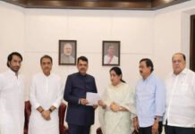 Sunetra Pawar meets Fadnavis, seeks CBI probe into Ajit air crash | India News