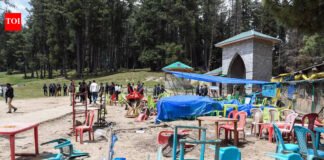 Tourism in J&K on revival path, says govt; assembly data shows slump in 2025 numbers after Pahalgam attack | India News