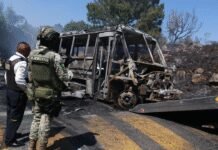 ‘Be aware’: Indian embassy issues advisory for nationals in Mexico after powerful drug lord ‘El Mencho’ killed | India News