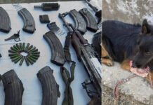 Tyson: Four-legged Army hero who led anti-terror op in J&K despite taking a bullet; With Op Trashi-1, all 7 terrorists eliminated | India News