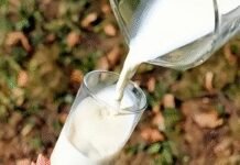 FSSAI seeks report on ‘adulterated milk’ incident that killed 4 in Andhra Pradesh | India News