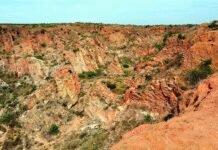 SC seeks experts for panel on Aravalis; mining ban to continue | India News