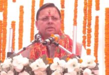 Dhami: Uttarakhand CM Pushkar Singh Dhami participates in Maa Shri Purnagiri Fair | India News