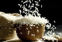 Rice Kernels: Government suspends fortified rice rollout in welfare schemes citing shelf-life concerns | India News