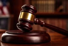 Judiciary must not create anti-investment climate: SC | India News