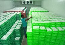 Israel-Iran war halts egg exports from Namakkal; losses estimated at Rs 5 five crore daily | Coimbatore News